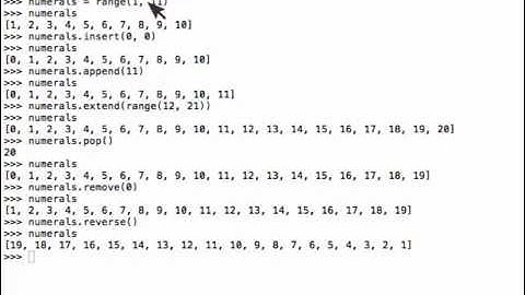 Python List Tutorial