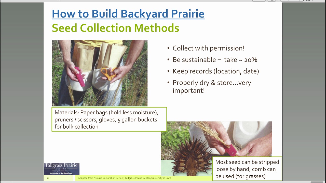 prairie habitat creation