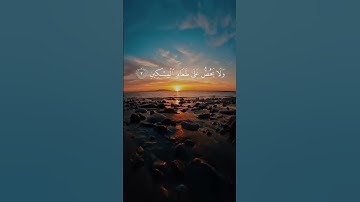 Surat Al-Ma'un (The Small kindnesses)|سورة الماعون| |Quran hakim360|