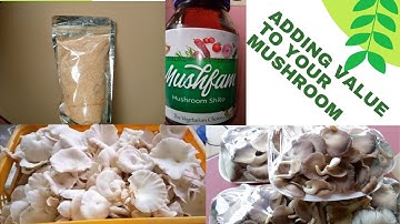 Adding value to raw mushrooms-The Mushfam story