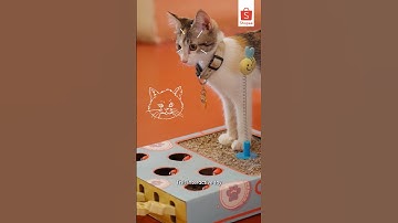 Whack-A-Mole for your cat! 🐱🐈 Product link in the comment #shopeemy