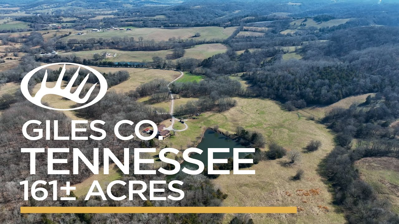 Giles County, TN 161± Acres YouTube