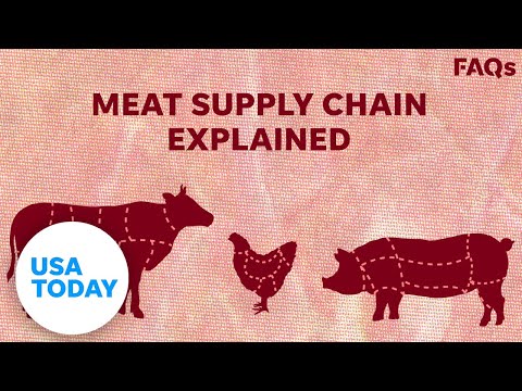 How COVID-19 affects US livestock supply chain | USA TODAY