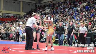 2019 Georgia High School Association Wrestling Championships