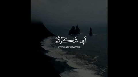 تلاوة قصيرة للقارئ عبدالله الموسى
