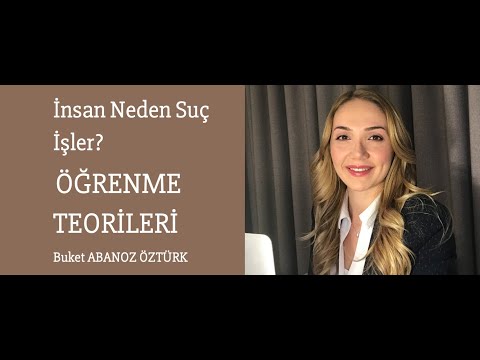 Video: Farklı öğrenme teorileri nelerdir?