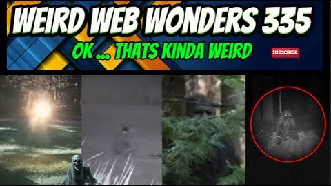 weird web wonders 335