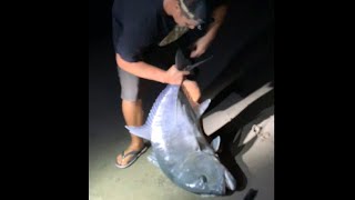 Ulua Fishing Hawaii w/ 3DMaui 6- 50lb Ulua on the baitcast
