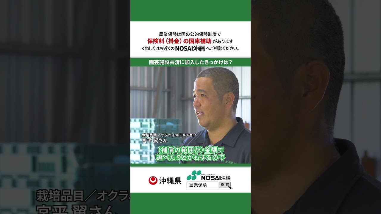 園芸施設共済に加入したきっかけは？ #収入保険 #つなぎ融資 #農業保険 #園芸保険 #農済 #台風 #shorts