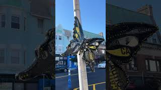 Day trip to Westfield, NJ #addamsfamily #westfield #newjersey #halloween #daytrip #travelvlog