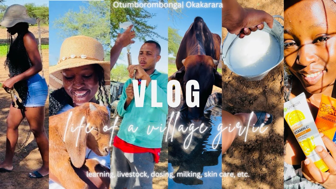 VILLAGE VLOG| Life at the Village| Cattle| Milking| Dosing Goats & Sheep| Garden | Namibian YouTuber