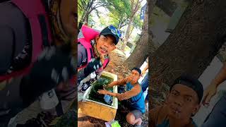 Story Wa Pemancing #shorts #mancingnilaterbaru #spotmancingterbaru #mancing