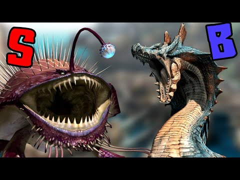 Ranking Monster Designs | Third Generation!