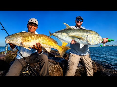 Fishing the BEST Jetty In Texas! Giant Fish Everywhere! Ep. 11 (Texas Jetty Tour)