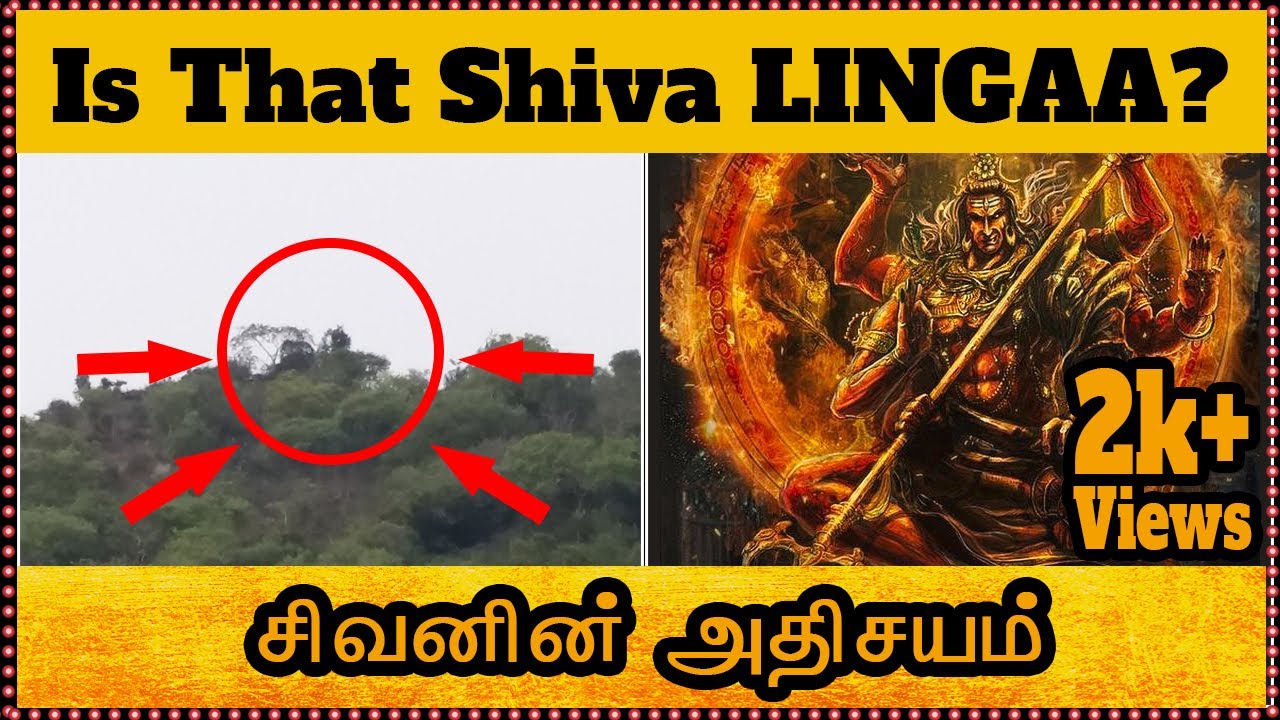 Lord Shiva Caught on Camera - Shiva Spotted in Real Life (2020 ...