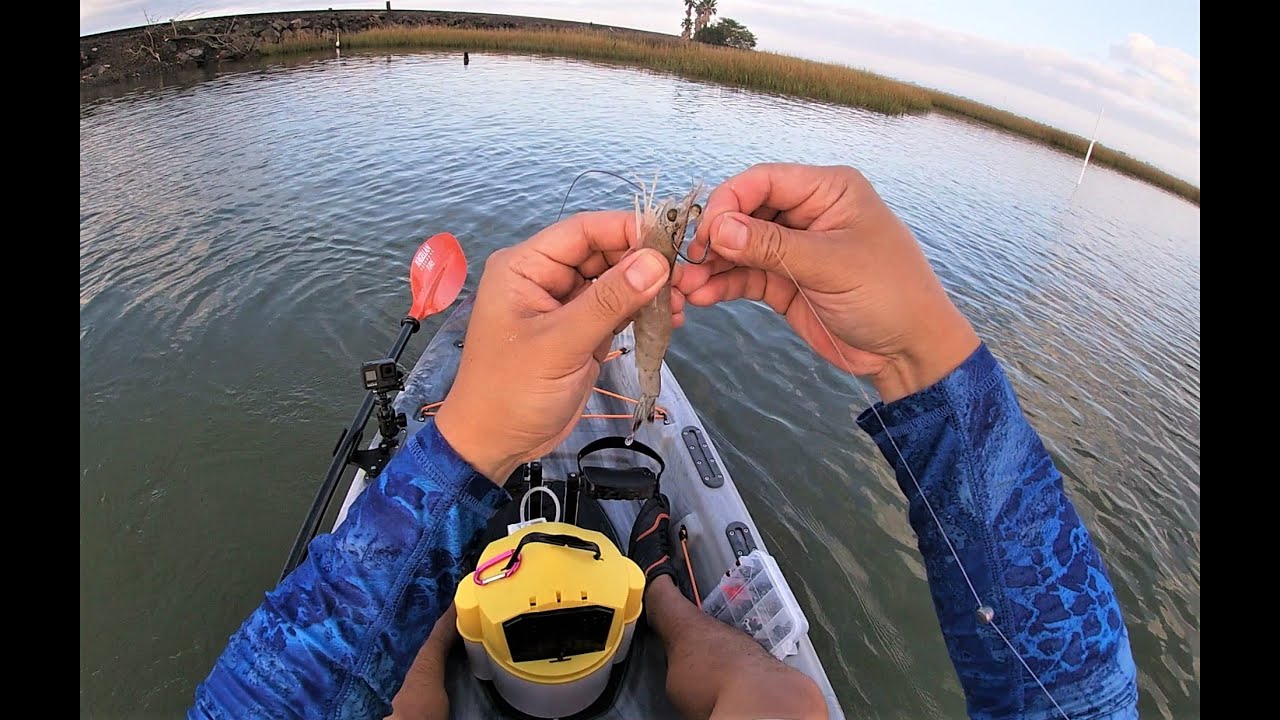 I'm New to Marsh Fishing