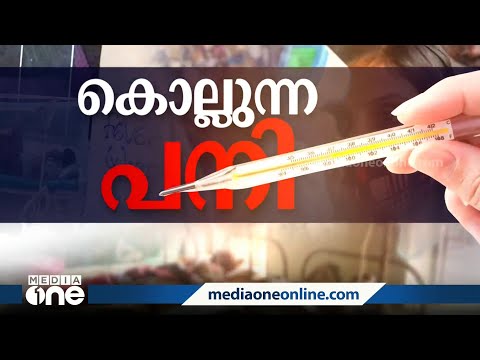 പനിമരണം കൂടുന്നു; സർക്കാർ ഓഫീസുകളിൽ ഇന്ന് ഡ്രൈഡേ