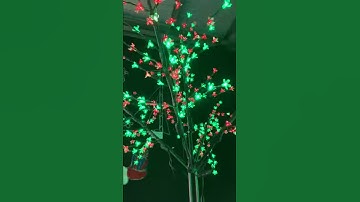 2.5m Tall Red and Green Auto Changing LED Cherry Blossom Tree
