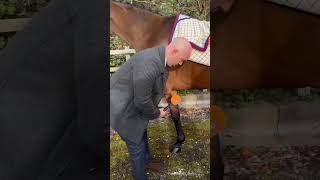 Barbers Shop Owned By Hrh Queen Elizabeth At Newbury Races #Shorts #Farrier #Horse