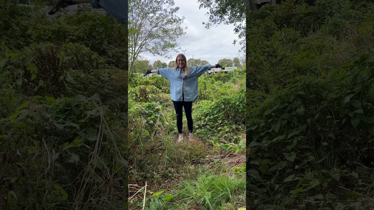 MY OVERGROWN ALLOTMENT 