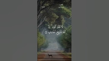 قرآن_كريم ماتيسر من سورة غافر للشيخ محمد أيوب
