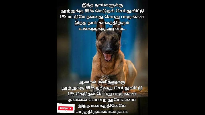 நன்றி மறக்காத ஜீவன் எது #quotes #shortsfeed #motivation @karkakasadaramk8089