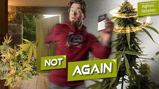 Indoor statt Outdoor – und trotzdem Probleme?! Seed to Harvest