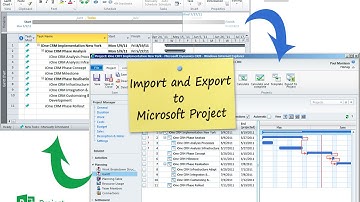 MS Project Import/Export with CRM-Project