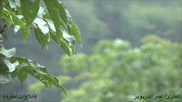 سورة المعارج بصوت القارئ عمر الدريويز~من أروع التلاوات~