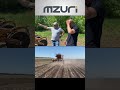 Mzuri Pro-Til 4ТХ з 5,4-тонним бункером  #agriculture #agro