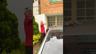 EL MARTILLO PODEROSO cute???#familiaremix #fypシ゚viral #humor #comedia #comedy #shortvideo