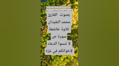 بصوت  القارئ محمد النقيدان تلاوة خاشعة سورة ص #قران_كريم #المصحف #ترند #لايك #اكسبلور