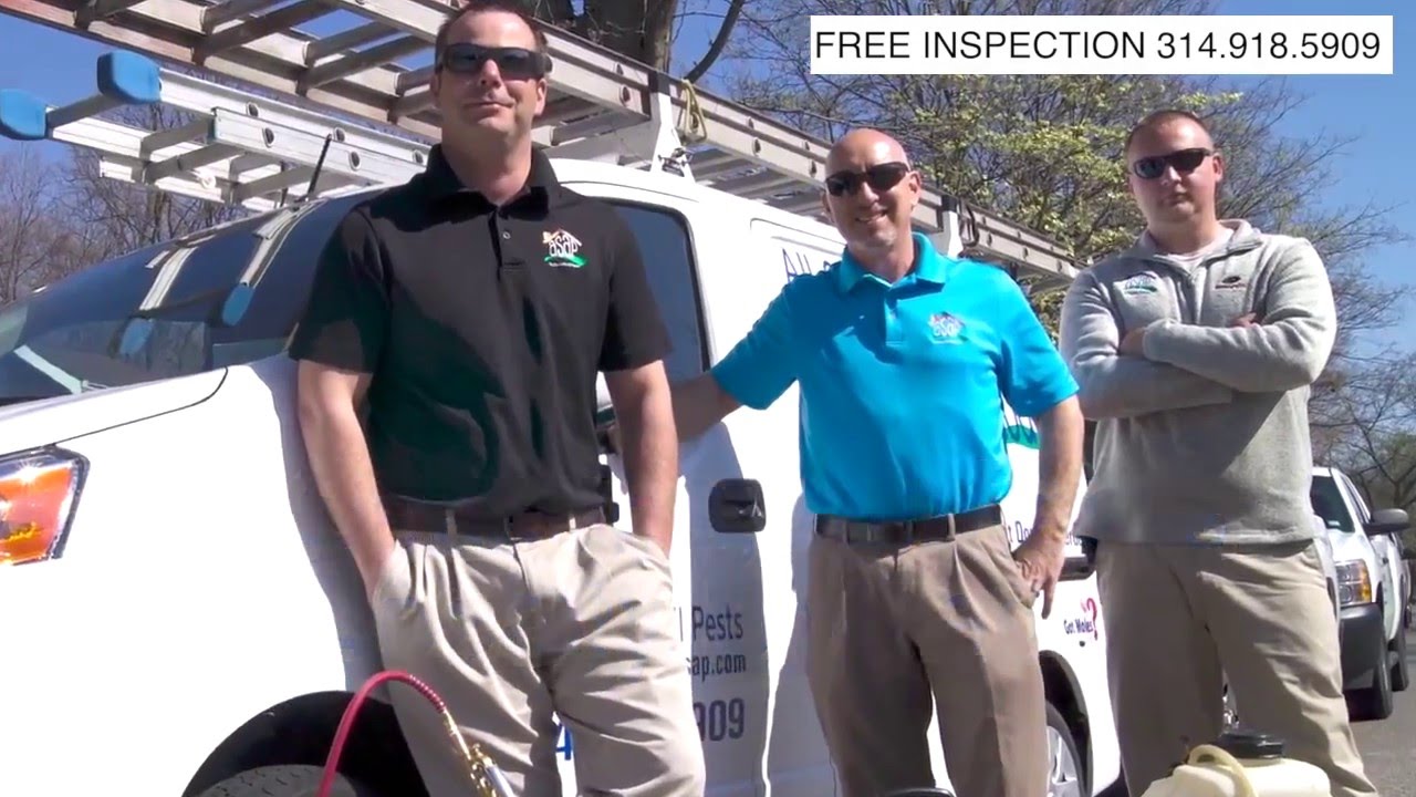 All Seasons, All Pests St. Louis, Missouri Pest Control and Wildlife