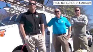 All Seasons, All Pests - St. Louis, Missouri Pest Control and Wildlife Removal Service