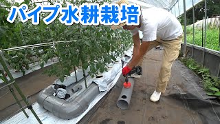【水耕栽培】パイプ水耕のすすめ  ミニトマト / pipe Hydroponics