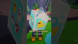 New rubber duck update!!🐤