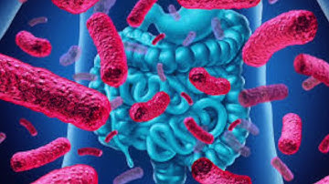 Gut Microbiome and COVID 19