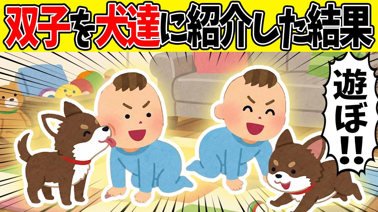 【感動】犬を多頭買いしている実家へ、0歳の双子を連れて帰った結果【ゆっくり】