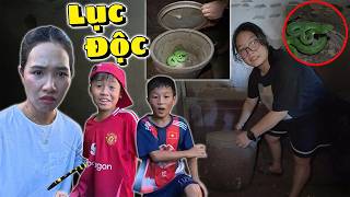 Rùng Mình Nổi Da Gà Phát Hiện Rắn Lục Xanh Ở Bên Trong Ngôi Nhà Bị Bỏ Hoang Giữa Khu Dân Cư screenshot 4