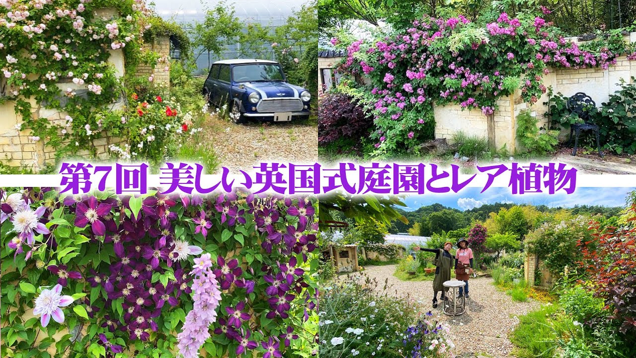 【ローズブランチ】第7回 レア植物も多数！ガーデナーがこだわるモルタルの壁面に調和するバラと宿根草のナチュラルガーデン