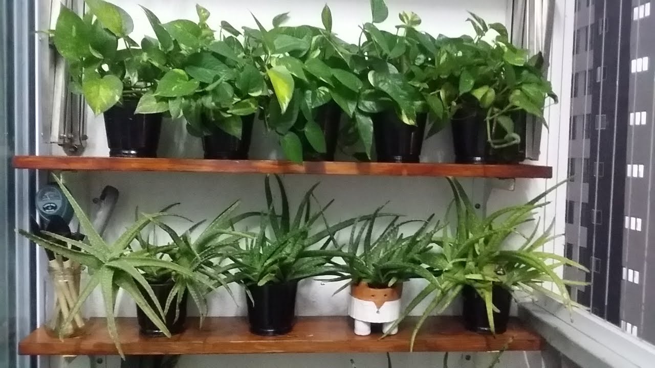 How to build a shelves for balcony garden YouTube