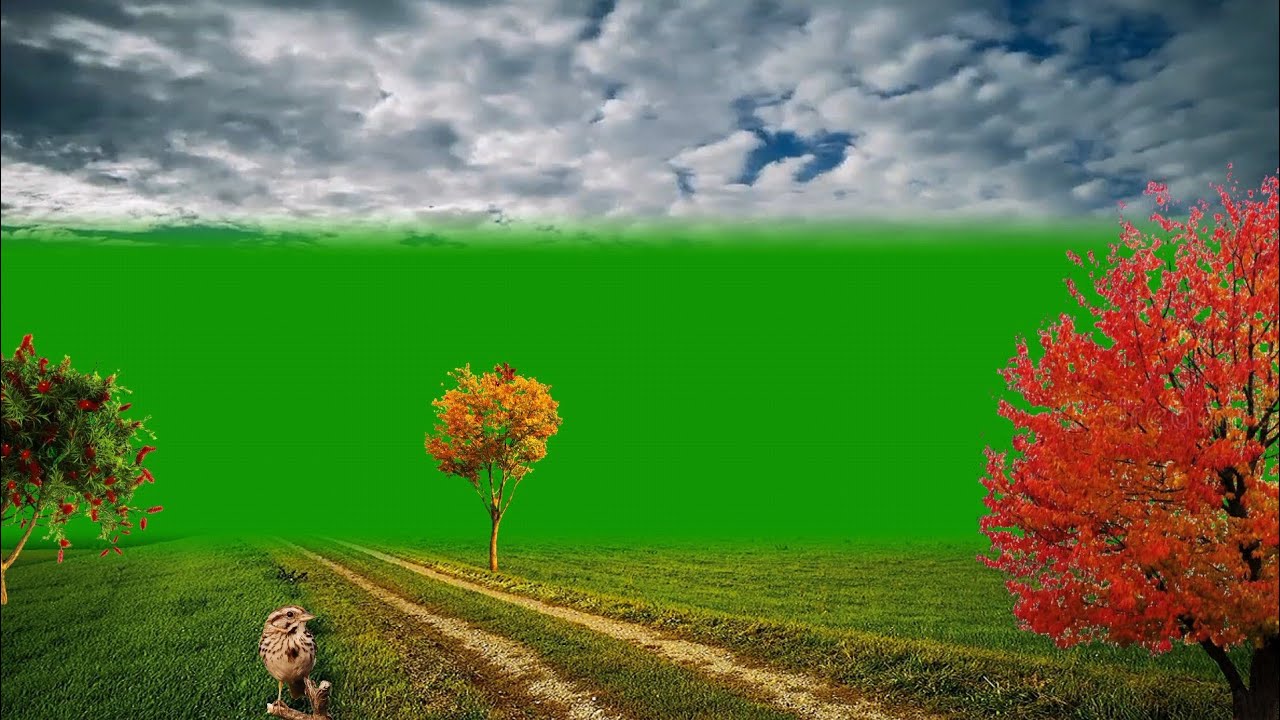 Nature Background Video / Background Video Effects hd /Green Screen ...