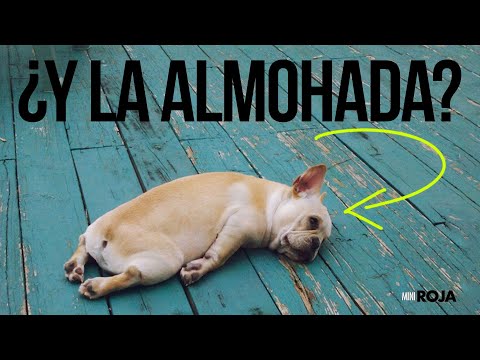 ¿Es "biológico" usar almohada? - Cómo dormir bien /miniRoja