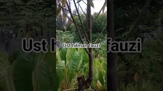 Allah Yg Punya Hasil Akhir Nyausthilmanfauzi