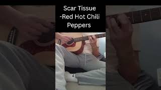 Scar Tissue-Red Hot Chili Peppers