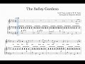 The Salley Gardens (arr. Britten) | Trinity Grade 5 | Group B | Piano Accompaniment | G Flat Major