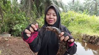 FISHING FOR HUNGRY CATFISH INSIDE A HOLE..!!!