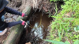 FISHING FOR HUNGRY CATFISH INSIDE A HOLE..!!!
