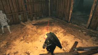 DARK SOULS 2 SOTFS: How to get unlimited petrified dragon bones