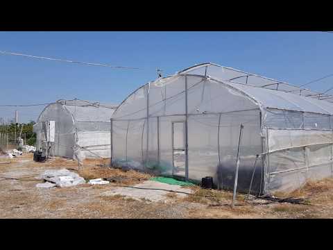 Έλεγχος νέων καινοτόμων